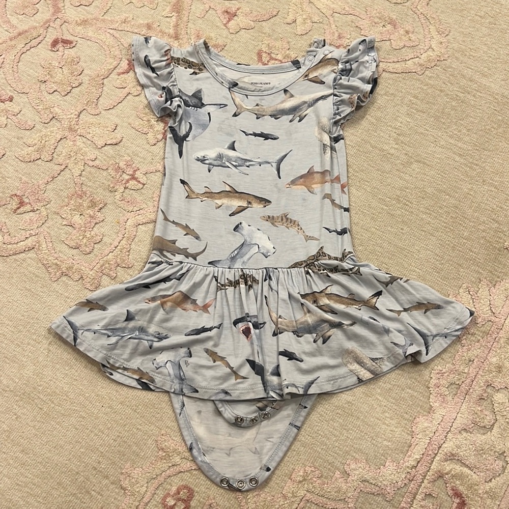 Posh Peanut Onesie with skirt 2T